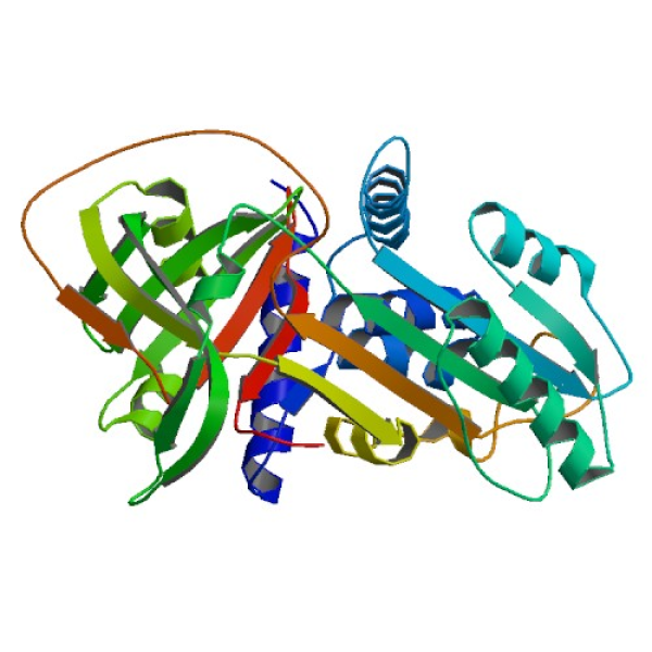 Structure image - Alpha-1 antitrypsin