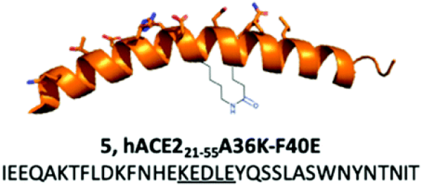 Structure image - hACE221-55A36K-F40E