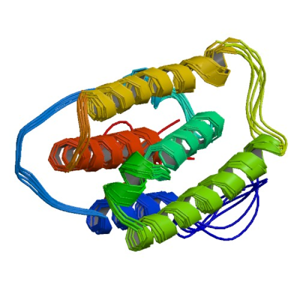 Structure image - Peginterferon alfa-2b