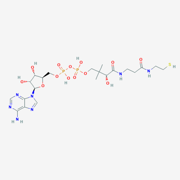 Structure image - Dephospho coenzyme A