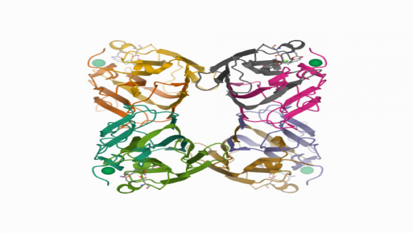 Structure image - FRIL