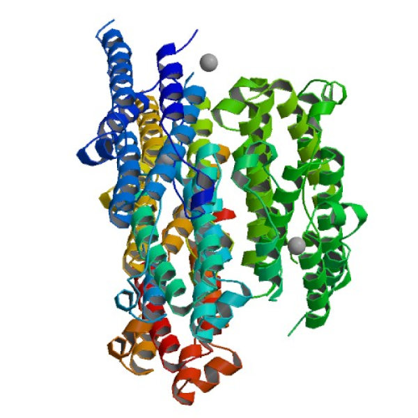 Structure image - Interferon alfa-2b