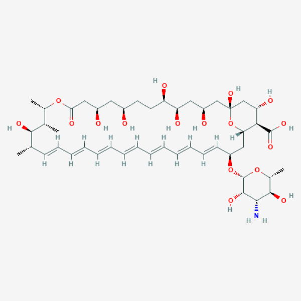 Structure image - Amphotericin B