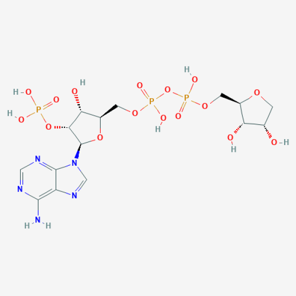 Structure image - NA7